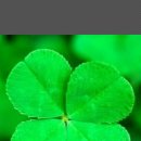 금광여관 이미지