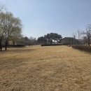 운정건강공원 축구장 | 피크닉하기 좋은 공원 - 운정건강공원 산책