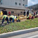 바다위에정원 이미지