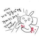 보라펫 이미지