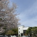 아리 | 예쁜 정원이 있는 포천카페 '카페아리' 후기!