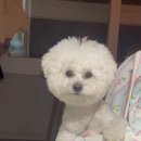 인형뽑아죠! 이미지