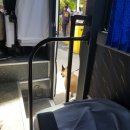 A1034 | 세부 숙소 추천 - 제이파크리조트 막탄스위트룸 후기