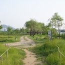 삼락생태공원 이미지