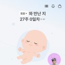 세븐일레븐 부산명지그린점 | 25주-27주 좋은문화병원 임당검사, 입체초음파, 임신중기 배뭉침(경부길이 짧아짐🥲)