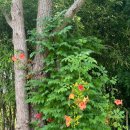 스테이모래내 이미지