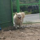 풍산농장 이미지