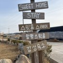 스테이523 | [전남 함평] 반려견 동반 가능 감성 숙소 "스윗홈 스테이1" 숙박 후기 홈스윗홈
