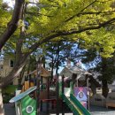 괴정1동-10 이미지