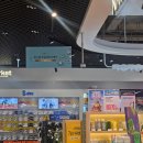 고래리퍼블릭 이미지