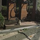 [블챌]09.09~09.14 일상기록| 도로주행,와룡공원, 홍곱창, 틸데, 언니와의 데이트, 다니엘트루스하이볼...