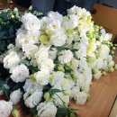 새운농장 이미지