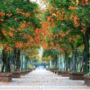 부천중앙공원 이미지