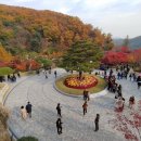 단풍 절정, 가을 여행 명소는 어디?... “단풍처럼 사세요” 이미지