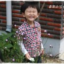 체크엔진 이미지