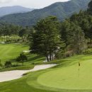 휘닉스 컨트리클럽 이미지