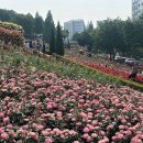 도당동행정복지센터 이미지