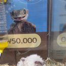 몬스타주 이미지