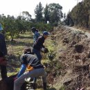 창민농장 이미지