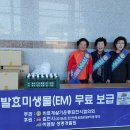 김천시 문화회관 Daum카페