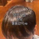 얇은모·직모 고민 해결! 동대문 남자아이롱펌 후기 동대문마제스키바버샵 이건