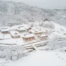 숲속에하루민박 이미지