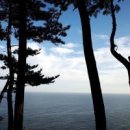 ㈜디에스케미칼 이미지