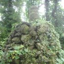 유산마을진입로 이미지