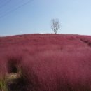 신소양체육공원 이미지