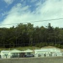 경주감성숙소 파인힐(PINEHILL) 풀빌라 | 두 돌 아기랑 경주 여행 감성 숙소 파인힐 풀빌라