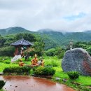 신지생태공원 이미지