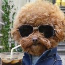 강원중학교 이미지