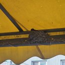 금호1농장 이미지