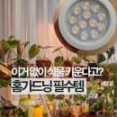 팜텍 | 식물조명 홈가드닝 히포팜텍 LED식물등 후기