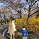 개나리식자재마트