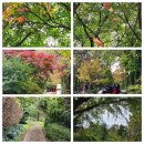 포항월드아트송 페스티벌 이미지