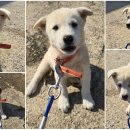 대송상사 이미지