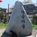 제593차 경남 통영 / 대매물도 ＜장군봉＞ (210m) 산행기 이미지