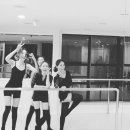 위험한studio 이미지