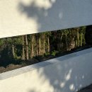 콴도제주 | [제주 숙소 추천] 콴도 제주 , 귤나무밭과 바다