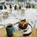 도도브로스 이미지