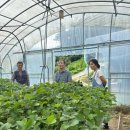 이명환농장 이미지