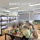 성남시장애인가족지원센터 | 작은 숲이 주는 큰 위로: 성남시장애인가족지원센터 부모님들의 힐링 고사리 가드닝