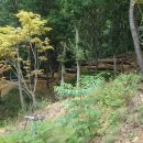 옥성자연휴양림 이미지