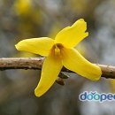 동산자연어린이집 이미지