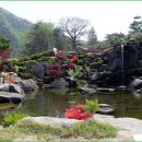 연못이 있는 집 이미지