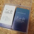 낭만애견 이미지