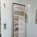 모벨라 mobella | [부산/동래] 미남역 속눈썹 노글루수분펌 잘하는 곳 "모벨라"