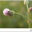 어느날;오후