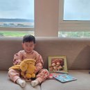 생생 뮤지컬 잉글리쉬 | 4살 첫 유아영어전집 추천! 잉글리시에그 선택한 결정적 이유 3가지